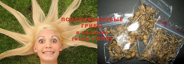 прущие крисы Пестово