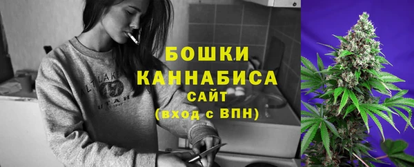 ECSTASY Осинники