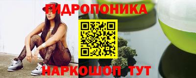 альфа пвп Заводоуковск