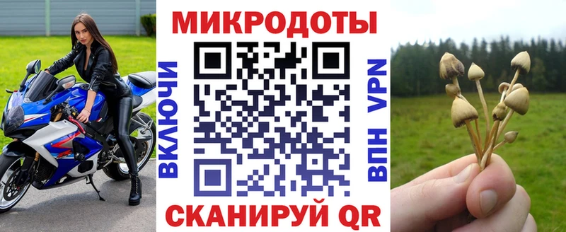 Псилоцибиновые грибы Cubensis  Тавда 