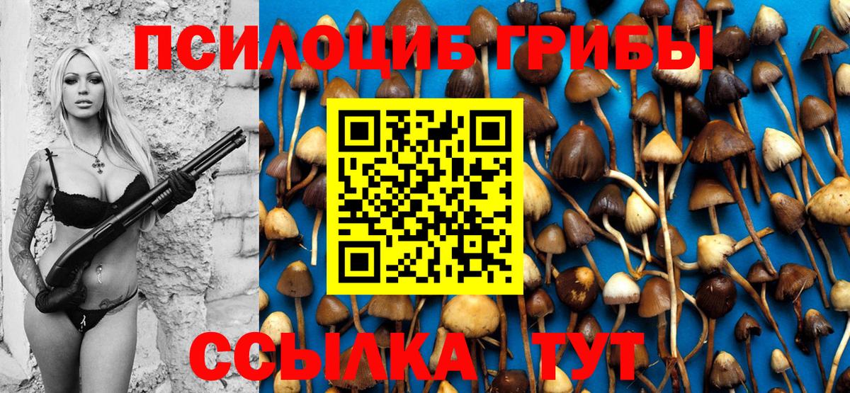 Псилоцибиновые грибы Psilocybe Тавда