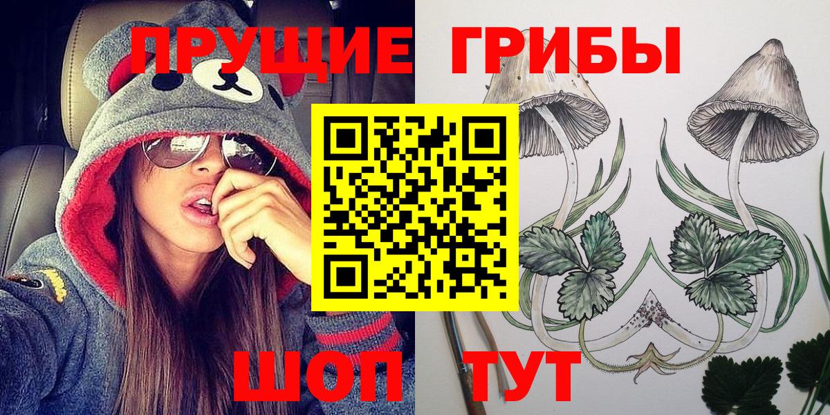 Тавда  Галлюциногенные грибы Psilocybe  Вход с VPN  Галлюциногенные грибы GOLDEN TEACHER 