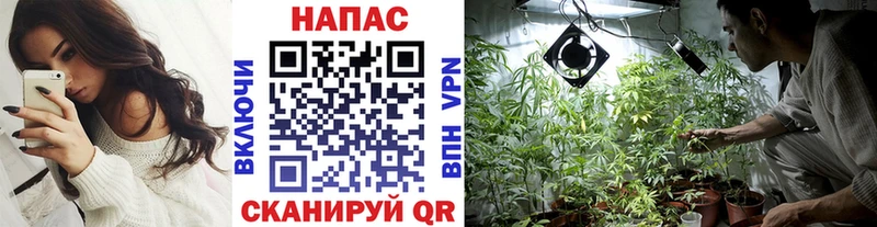 Марихуана план  мега зеркало  Тавда  купить  
